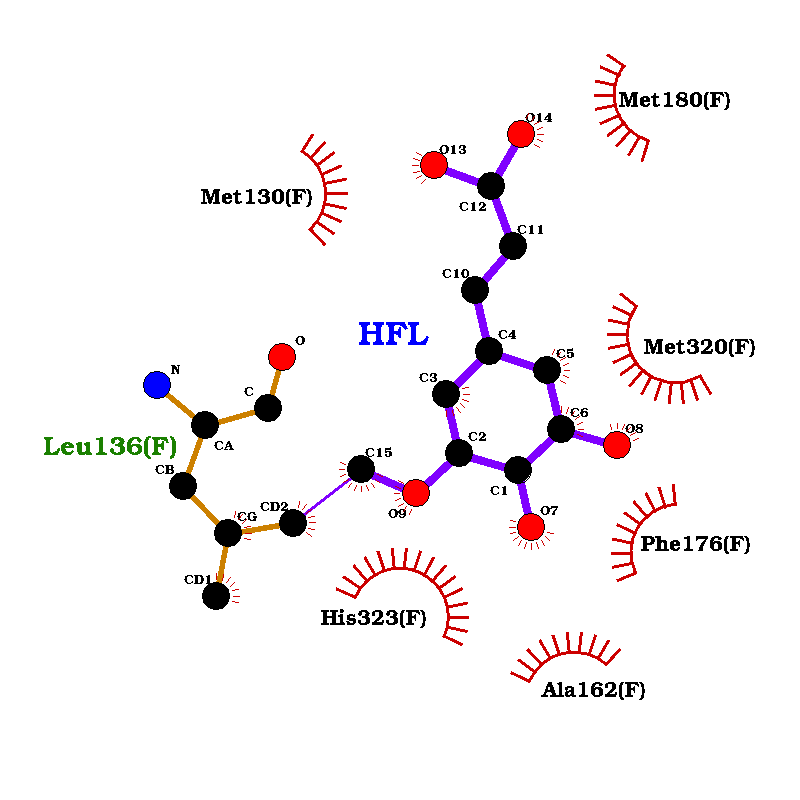 Protoporphyrin IX docking in Pn3.4770